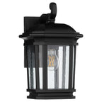 Murphy 11.75" Coastal Outdoor Wall Lantern