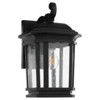 Murphy 14" Coastal Outdoor Wall Lantern