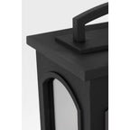 Modesto 19" Coastal Outdoor Wall Lantern