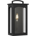 Modesto 12" Coastal Outdoor Wall Lantern