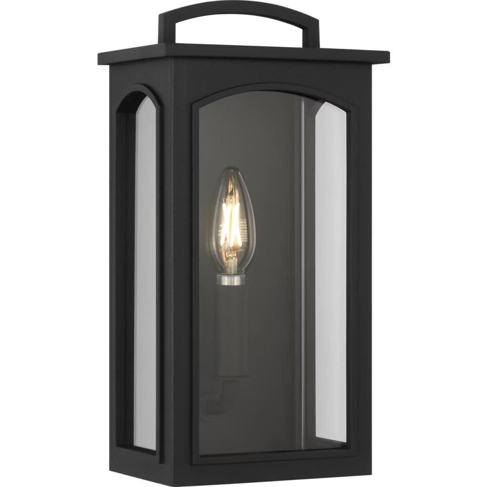 Modesto 12" Coastal Outdoor Wall Lantern