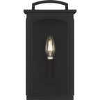 Modesto 12" Coastal Outdoor Wall Lantern