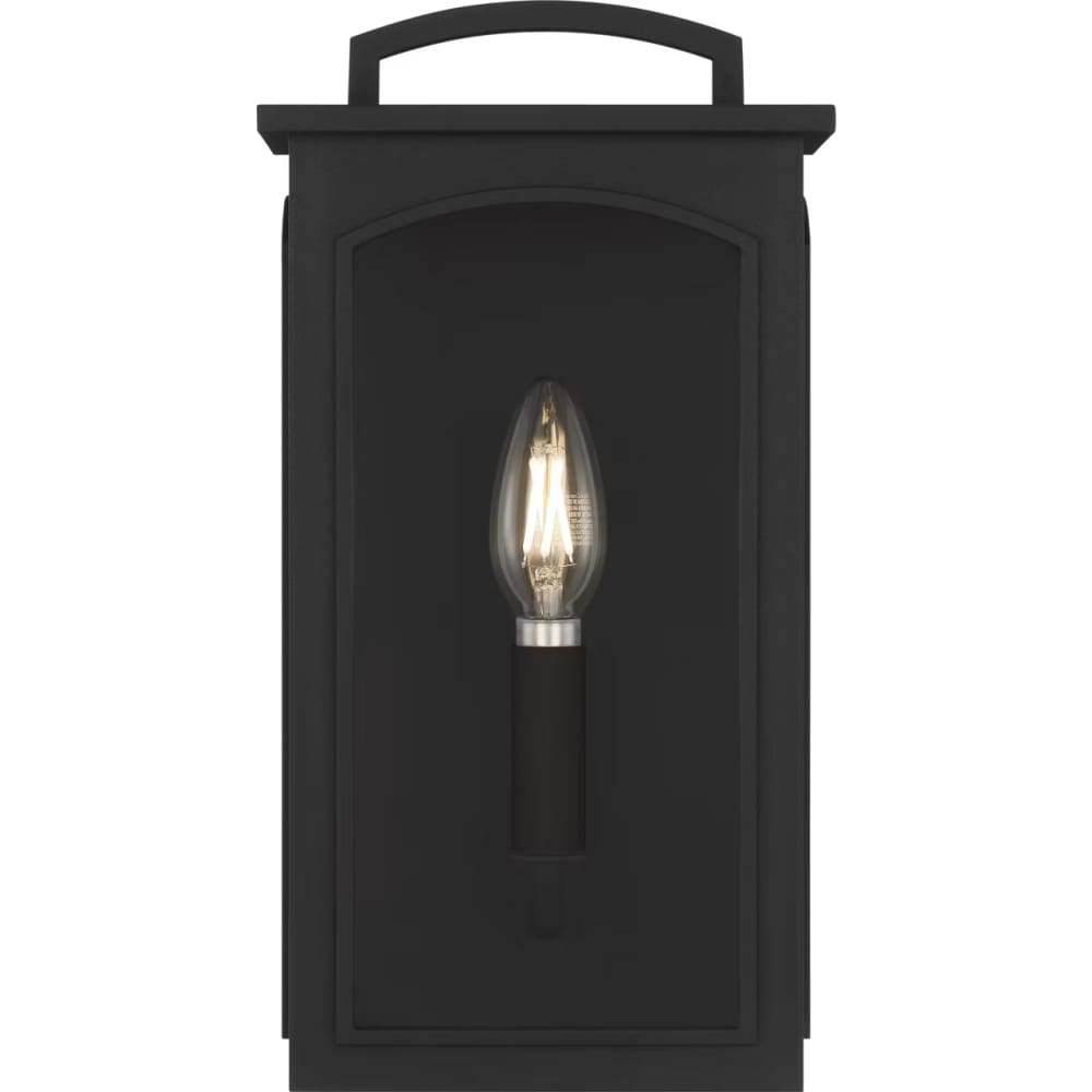 Modesto 12" Coastal Outdoor Wall Lantern
