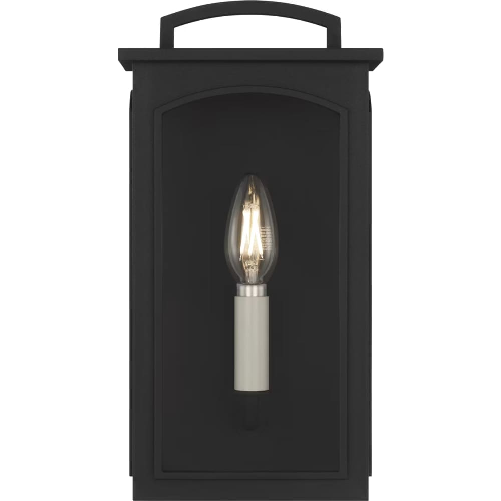 Modesto 12" Coastal Outdoor Wall Lantern