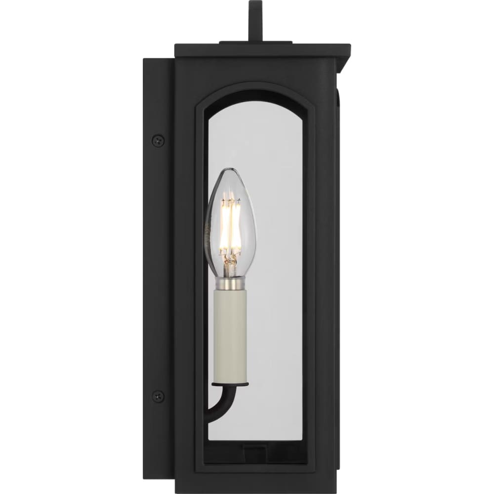 Modesto 12" Coastal Outdoor Wall Lantern