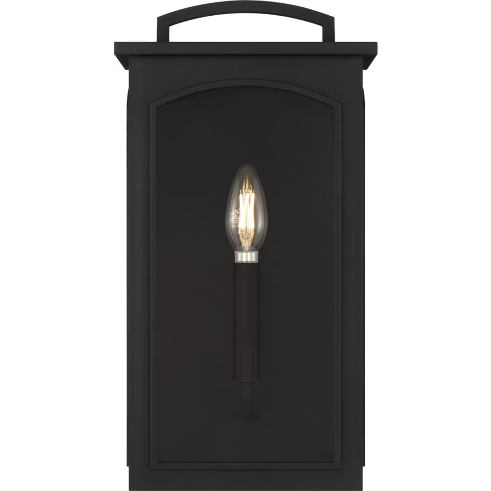 Modesto 15" Coastal Outdoor Wall Lantern