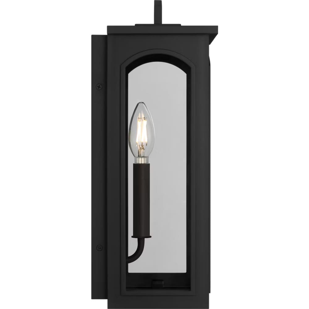 Modesto 15" Coastal Outdoor Wall Lantern