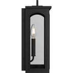 Modesto 15" Coastal Outdoor Wall Lantern
