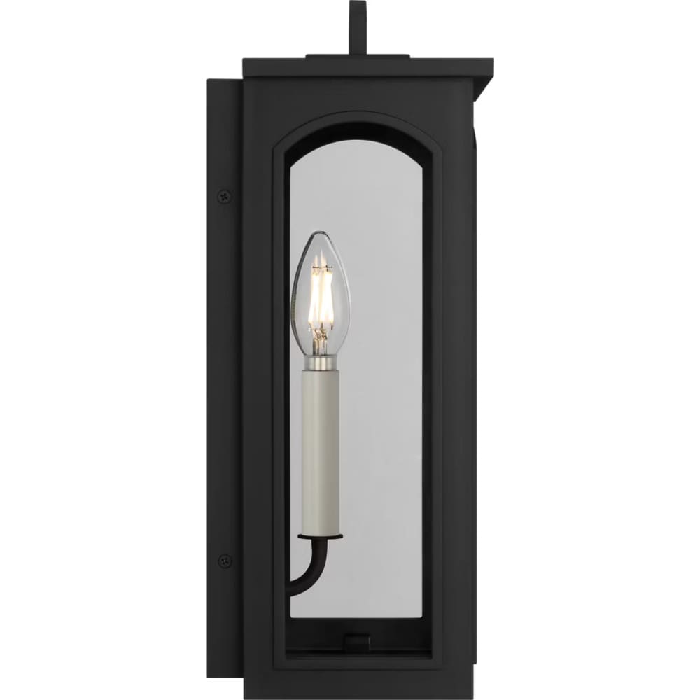 Modesto 15" Coastal Outdoor Wall Lantern