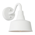 Barn Light Coastal Outdoor Wall Lantern - White - Small
