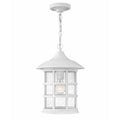 Hinkley Freeport Coastal Elements - Large Hanging Lantern 1862TW Coastal Lighting
