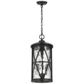 Generation Lighting Millbrooke Outdoor Pendant OL15209 Coastal Lighting